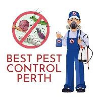 Best Pest Control Perth image 5